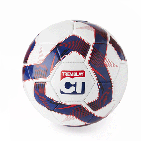 Ballon football TRAINING Taille 4